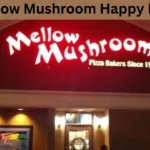 Mellow Mushroom Happy Hour