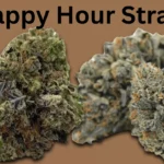 Happy Hour Strain