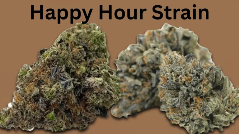 Happy Hour Strain