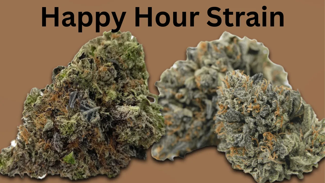 Happy Hour Strain